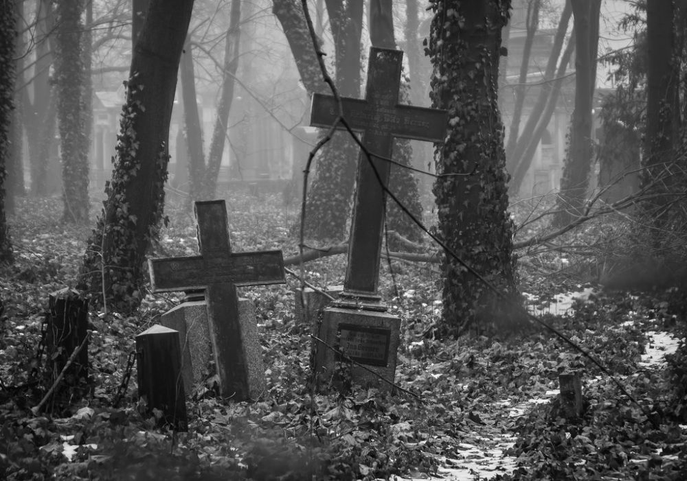 tombes dans une forêt - photo flickrcc