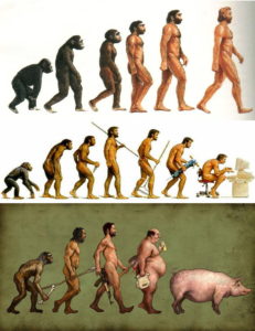 Illustration : l'évolution dans trois dessins humoristiques - https://www.flickr.com/photos/rizzato/3009376110/sizes/o/in/photostream/