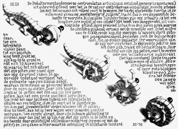 M.C. Escher - Enroulement