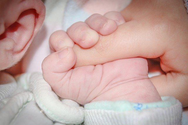 La main d'un bébé tient le doigt d'adulte - Image par Michal Jarmoluk de Pixabay