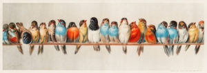 Image: 'A Perch of Birds (1880) by Hector Giacomelli (1822-1904). Digitally enhanced from our own original plate.' by Rawpixel Ltd  https://creativecommons.org/licenses/by/2.0/ http://www.flickr.com/photos/153584064@N07/42663976114