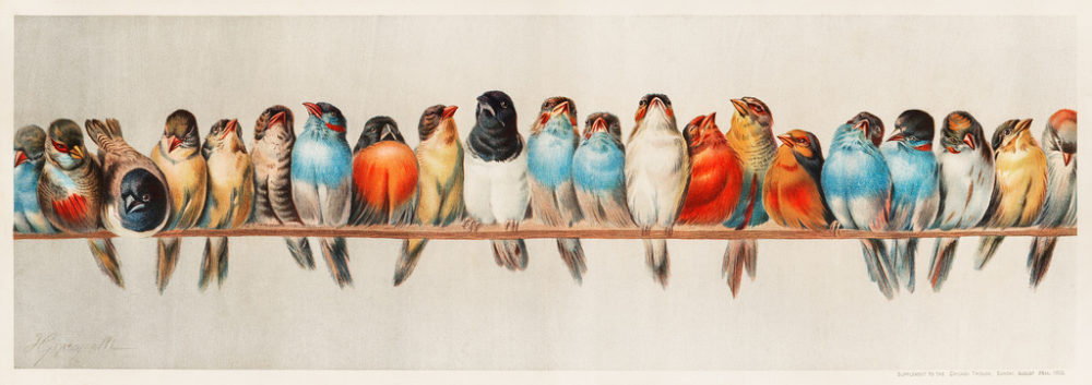 Image: 'A Perch of Birds (1880) by Hector Giacomelli (1822-1904). Digitally enhanced from our own original plate.' http://www.flickr.com/photos/153584064@N07/42663976114 Found on flickrcc.net
