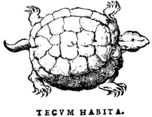Tortue "Tecum Habita" sur le premier livre de Jean Calvin