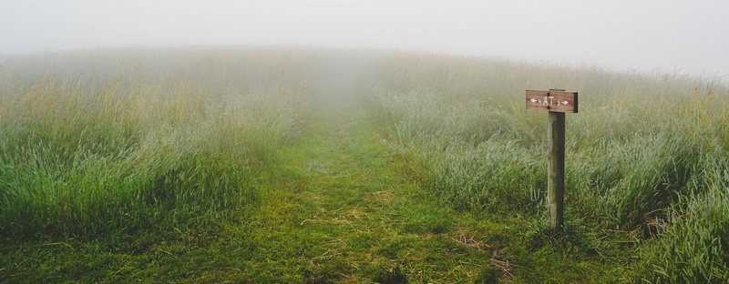 hésitation sur le chemin dans l'herbe par brouillard - Image parFree-Photos de Pixabay
