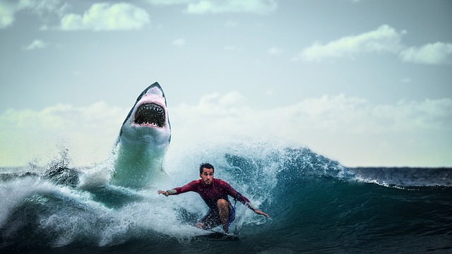 Illustration : un requin menaçant de manger quelqu'un - Image parThree-shots de Pixabay