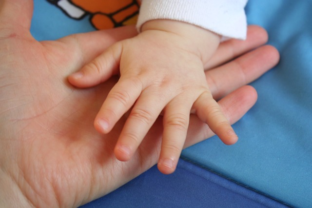 main de bébé - Image parRGDJ de Pixabay