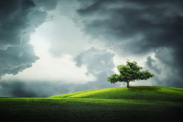 illustration : un arbre dans une prairie sous un ciel d'orage et de lumière, l'été. Image parBessi de Pixabay