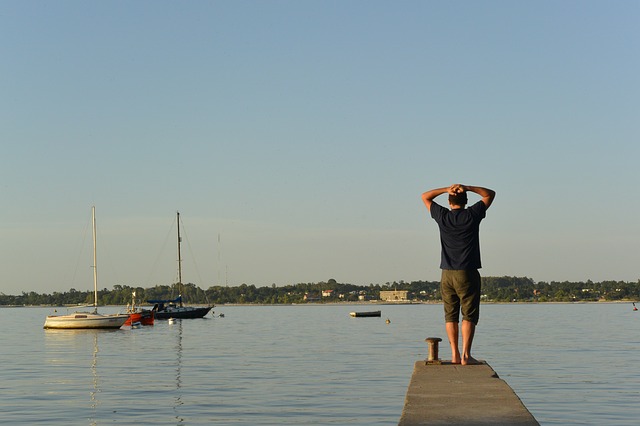 Un homme en bord de mer se tient la tête et regarde l'horizon - Image par Ximena-c de Pixabay