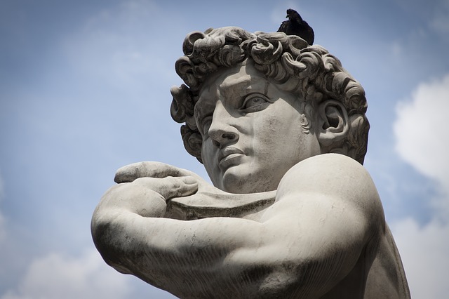 David de Michel-Ange avec un pigeon sur la tête - Image par Francisco Martinez Clavel de Pixabay