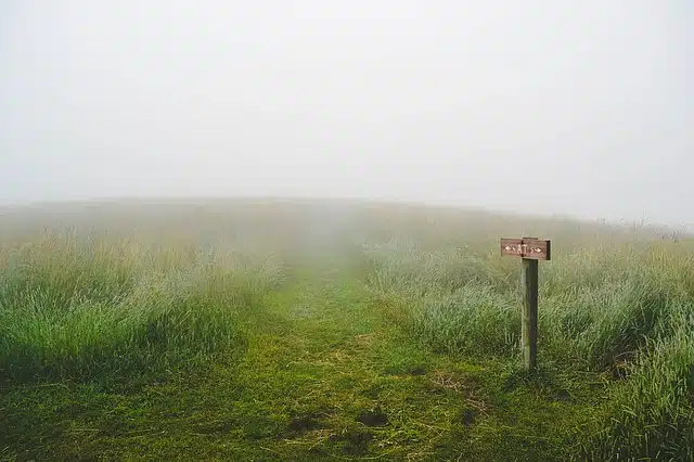 Un panneau indicateur peu clair, dans le brouillard, avec des chemins presque invisibles dans l