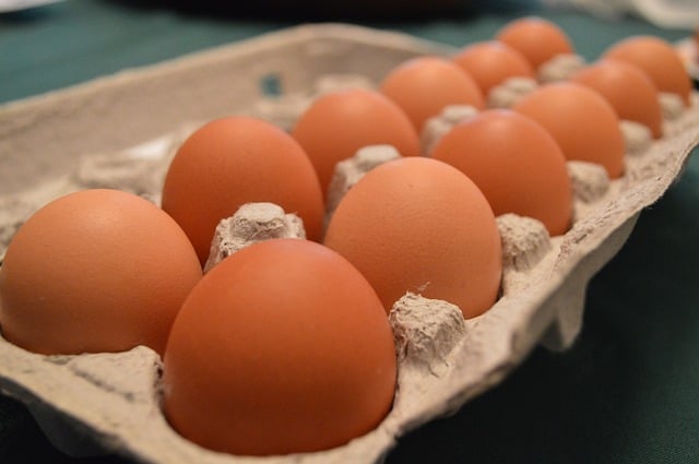 une boîte d'une douzaine d'œufs - Image par SeekDiscover de Pixabay