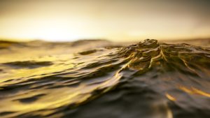 une vague sur la mer, dorée par le soleil - Image par ma13gann de Pixabay 