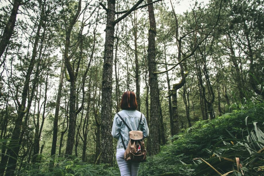 Une personen avec un sac à dos avance en pleine forêt hors sentier - Photo de IB Wira Dyatmika sur https://unsplash.com/fr/photos/femme-entouree-de-grands-arbres-bruns-et-verts-pendant-la-journee-gf9oi-eU_tA