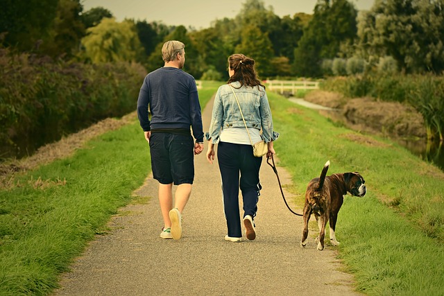 un couple se promène avec son chien en bavardant - Image parMabel Amber, still incognito... de Pixabay