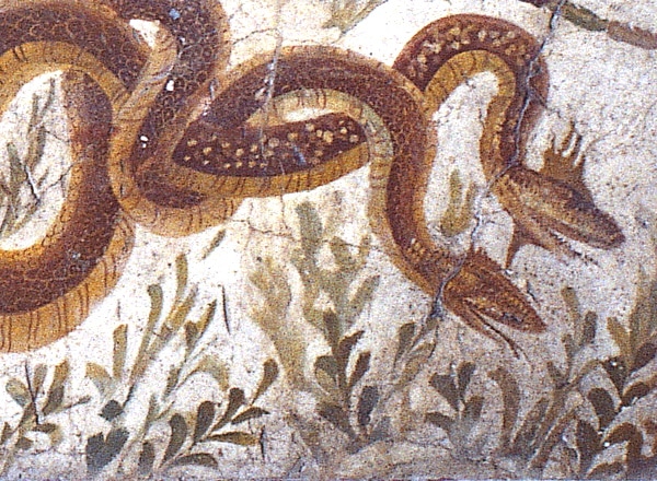 serpents - fresque du Ier siècle à Herculanum - Agatodemoni, serpents d'Herculanum , musée national d'archéologie de Naples