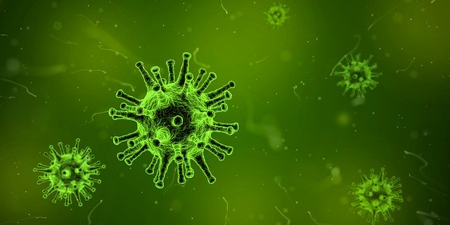 image d'un virus - Image par Arek Socha de Pixabay