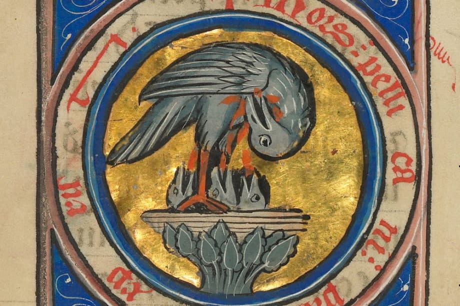 Un pélican nourrissant ses petits - enluminure du XIIIe siècle - wikicommons - Illuminated manuscripts in the J. Paul Getty Museum