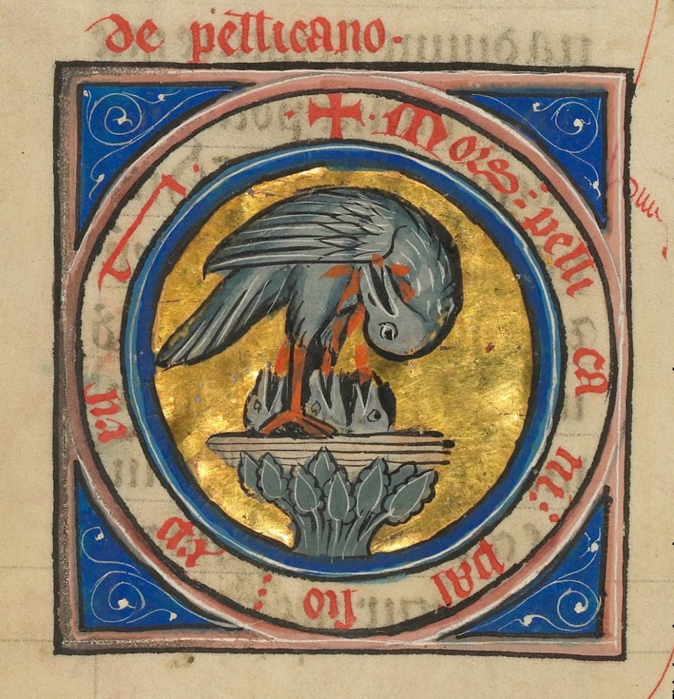 Un pélican nourrissant ses petits - enluminure du XIIIe siècle - wikicommons - Illuminated manuscripts in the J. Paul Getty Museum