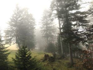 brouillard dans l'Appenzell, en montant à Seealpsee