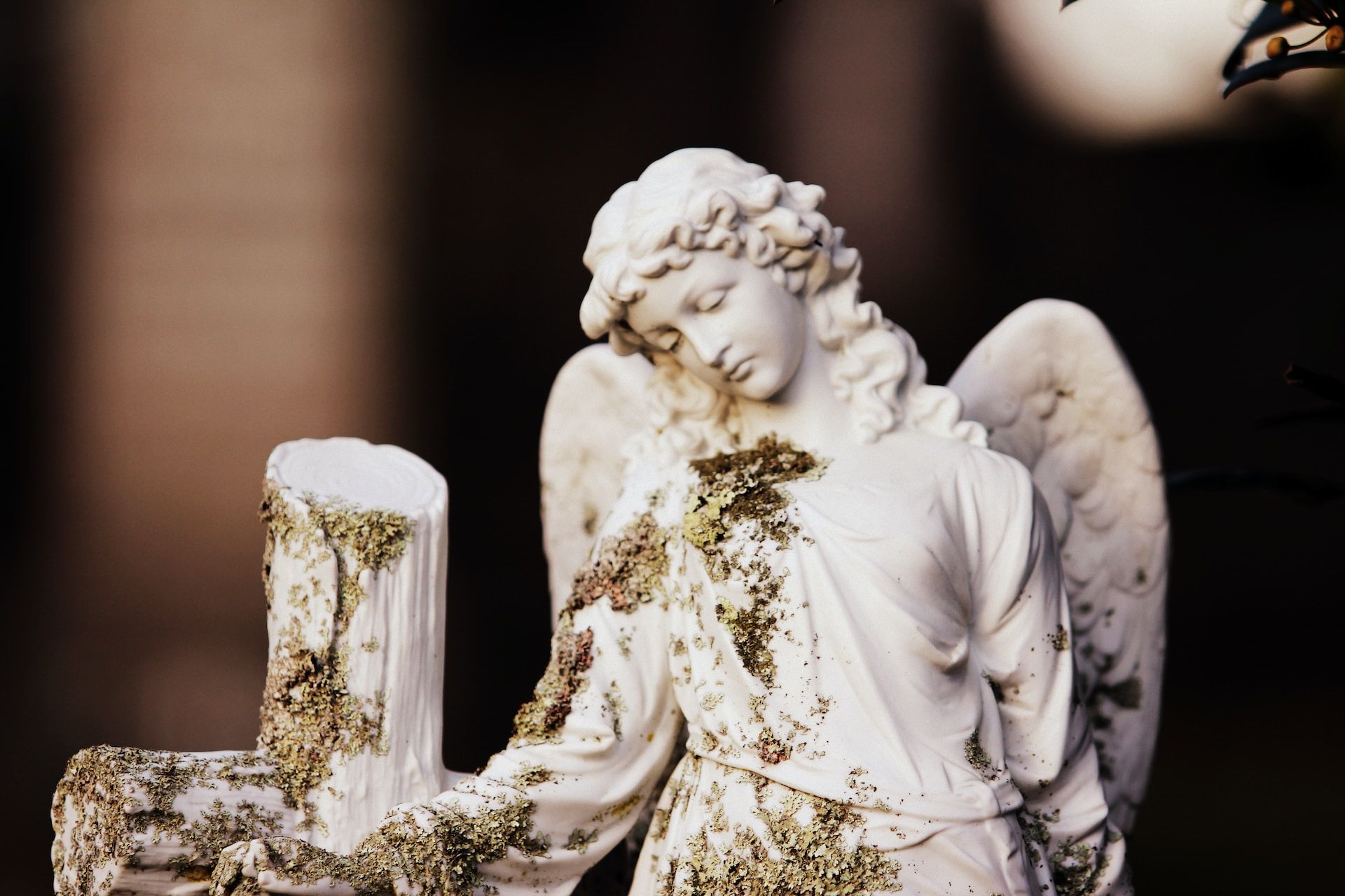 Un ange de pierre dans un cimetière à Aukland - Photo by Sandy Millar on https://unsplash.com/fr/photos/SwAyNwzFP94