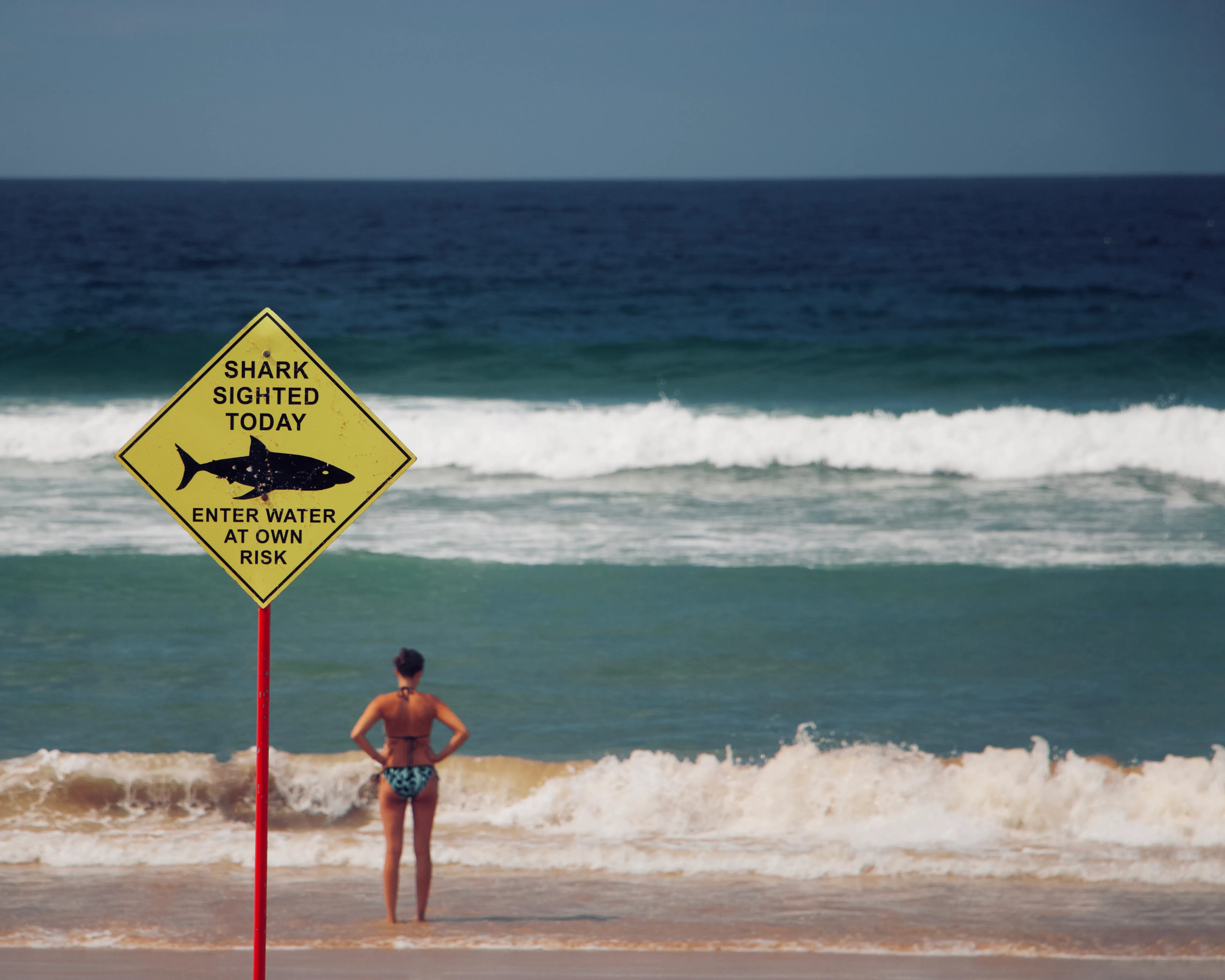 Une femme en maillot de bain sur la plage, regarde la mer, un panneau signele la présence de requins - Photo by Lubo Minar on Unsplash