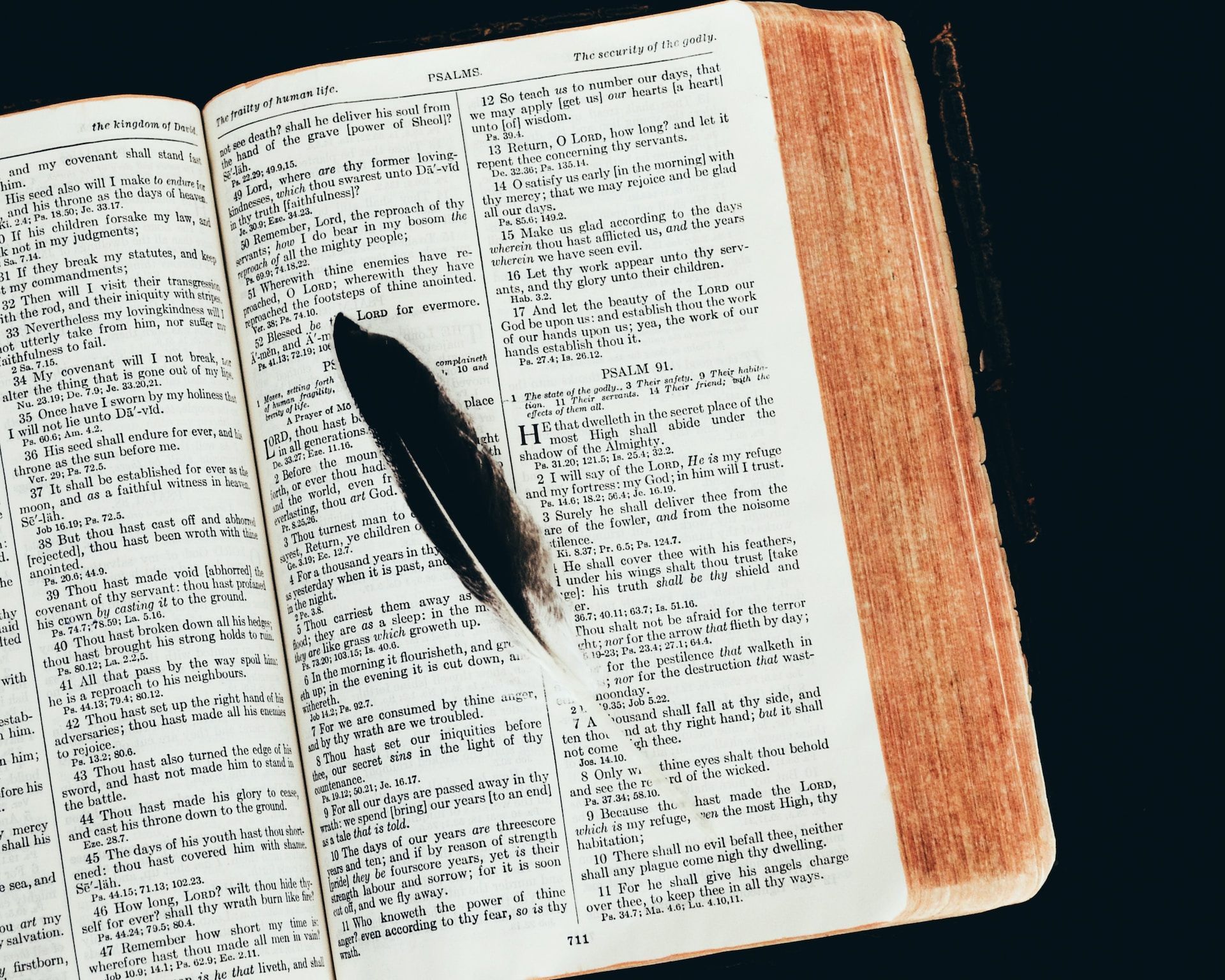 une plume posée sur une Bible ouverte sur le Psaume 91 - Photo by Debby Hudson on https://unsplash.com/fr/photos/plume-noire-sur-livre-ouvert-727qpYiO15g