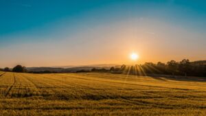 Soleil levant sur la campagne - Photo de Federico Respini sur https://unsplash.com/fr/photos/brown-field-near-tree-during-daytime-sYffw0LNr7s