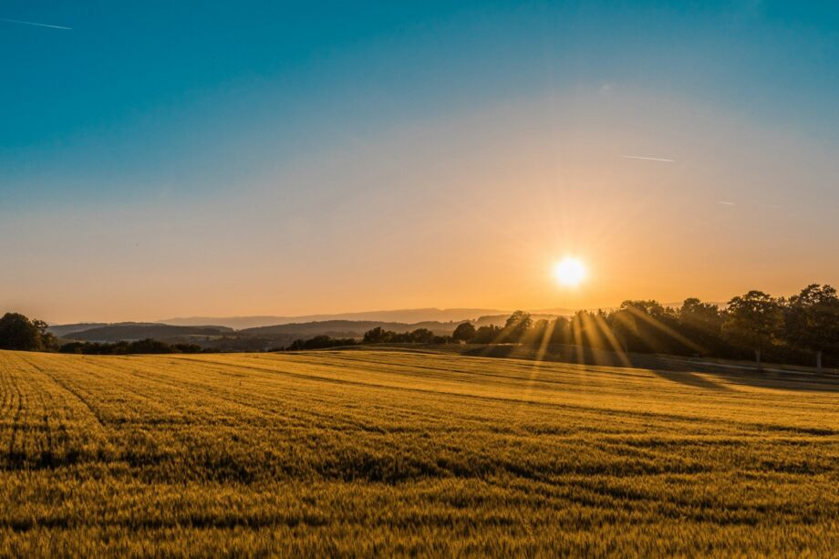 Soleil levant sur la campagne - Photo de Federico Respini sur https://unsplash.com/fr/photos/brown-field-near-tree-during-daytime-sYffw0LNr7s