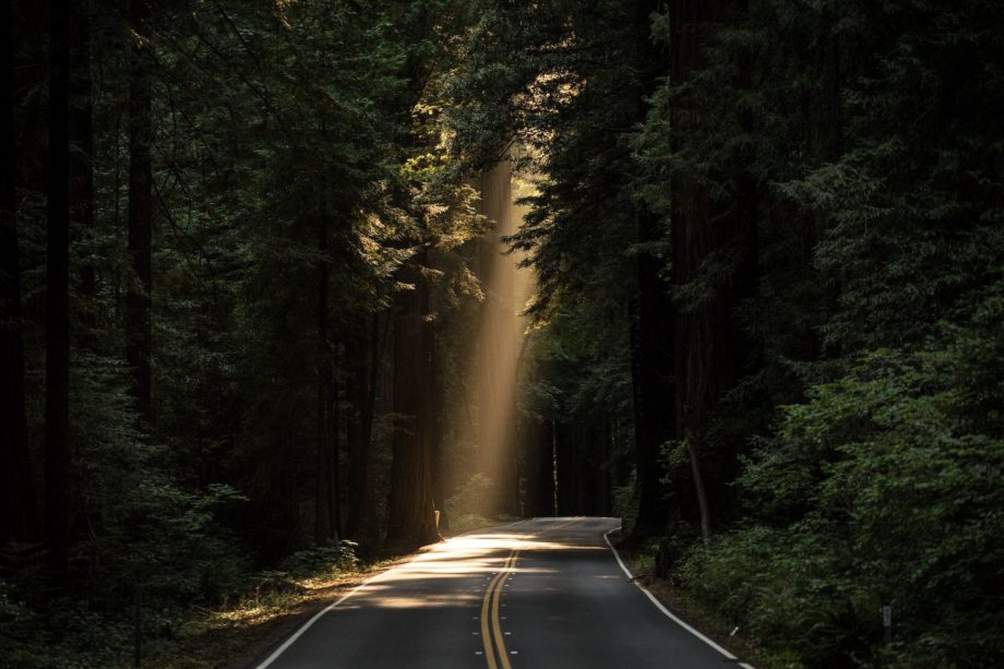 Rayon de soleil sur une route forestière - Photo by JOHN TOWNER on https://unsplash.com/fr/photos/route-en-beton-vide-couverte-entouree-de-grands-arbres-avec-des-rayons-de-soleil-3Kv48NS4WUU