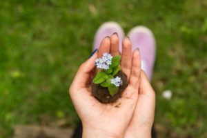 main ayant receuilli une motte de terre avec des petites fleurs - Photo by Tom Ezzatkhah on Unsplash