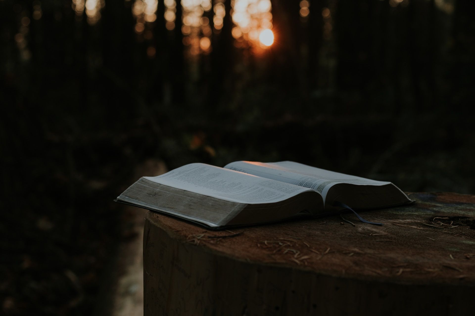 Une bible ouverte dans la forêt - Photo by Priscilla Du Preez on https://unsplash.com/fr/photos/page-du-livre-ouverte-7aOhiPe6_30