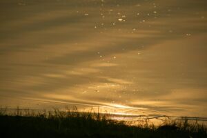 Bord de lac au coucher du soleil - Photo de 雙 film sur https://unsplash.com/fr/photos/coucher-de-soleil-dore-sur-un-ocean-calme-m1Ncb3oukyk