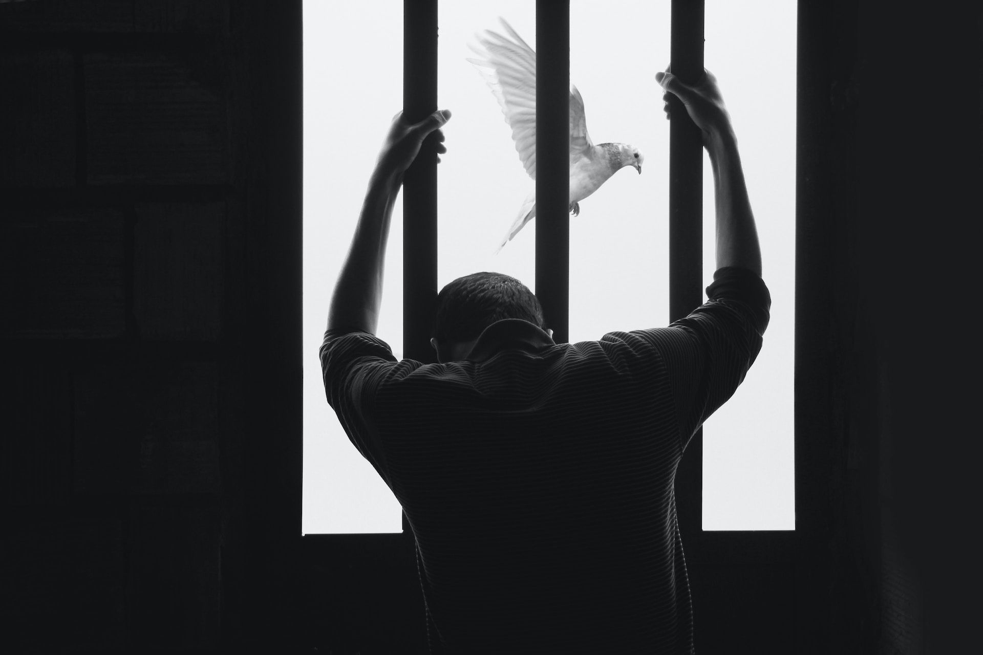 Un homme regarde à travers des barreaux une colombe dans le ciel - Photo by Hasan Almasi on https://unsplash.com/fr/photos/aIRBGPafi74