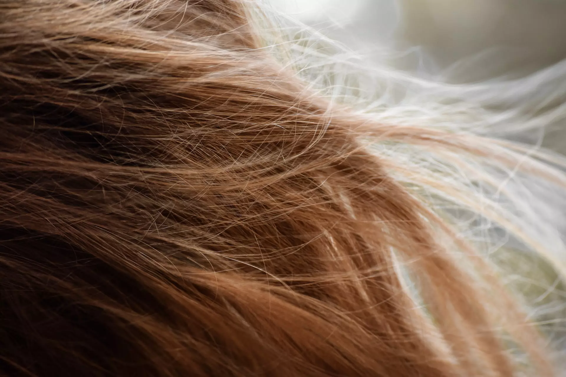 cheveux dans le vent - Photo de Taylor Smith sur https://unsplash.com/fr/photos/zz-UAKRabJs
