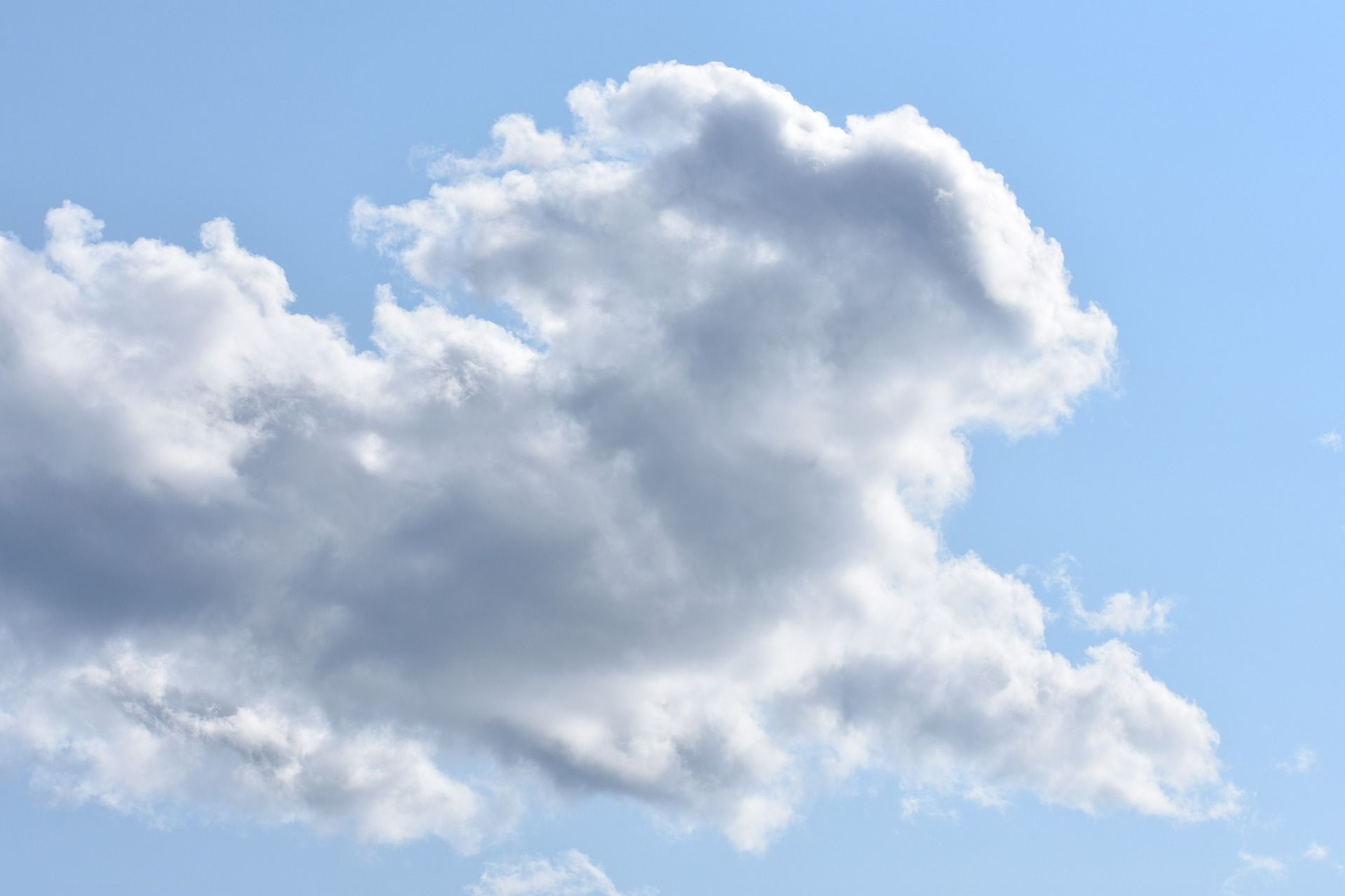 un nuage dans le ciel comme un lapin, Image par fredericklove de https://pixabay.com/fr/photos/lapin-des-nuages-p%C3%A2ques-id%C3%A9e-fleur-4821146/
