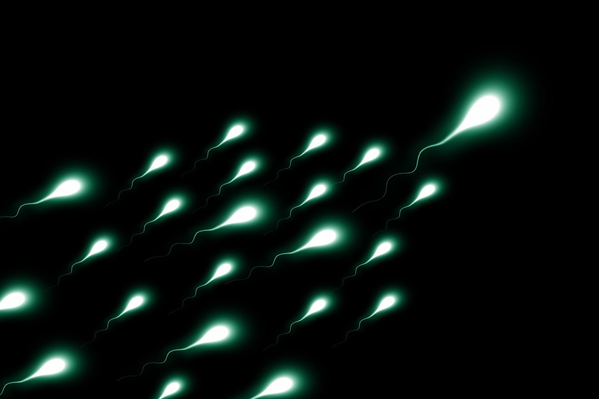image évoquant des spermatozoïdes faisant la course - Image par Ralph de https://pixabay.com/fr/photos/sperium-sperme-vainqueur-gagnant-2505952/