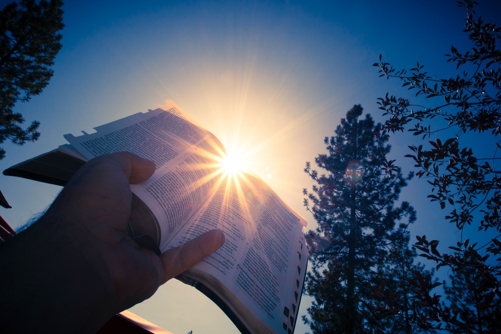 Une bible avec le soleil derrière - Photo by Timothy Eberly on Unsplash https://unsplash.com/photos/VgvMDrPoCN4
