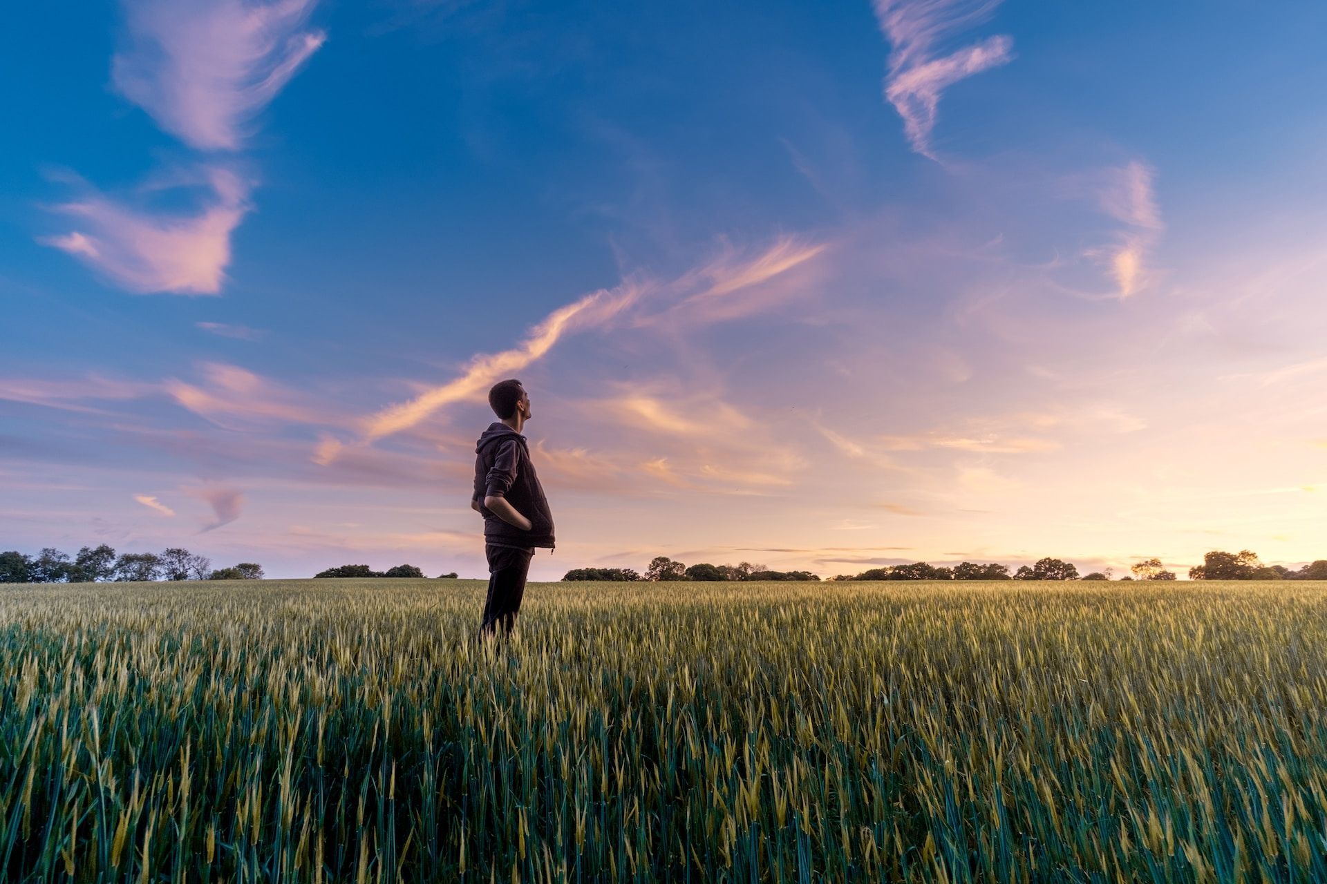 un homme dans un champ de blé vert regarde le ciel bleu et rose - Photo by Benjamin Davies on https://unsplash.com/photos/JrZ1yE1PjQ0
