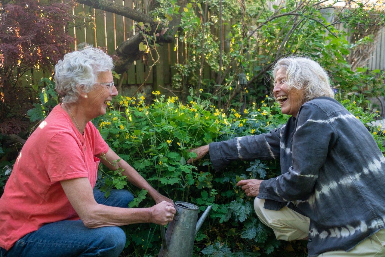 Deux femmes âgées jardinant joyeusement ensemble - Photo by Centre for Ageing Better on https://unsplash.com/photos/jlqMsdTFR0s