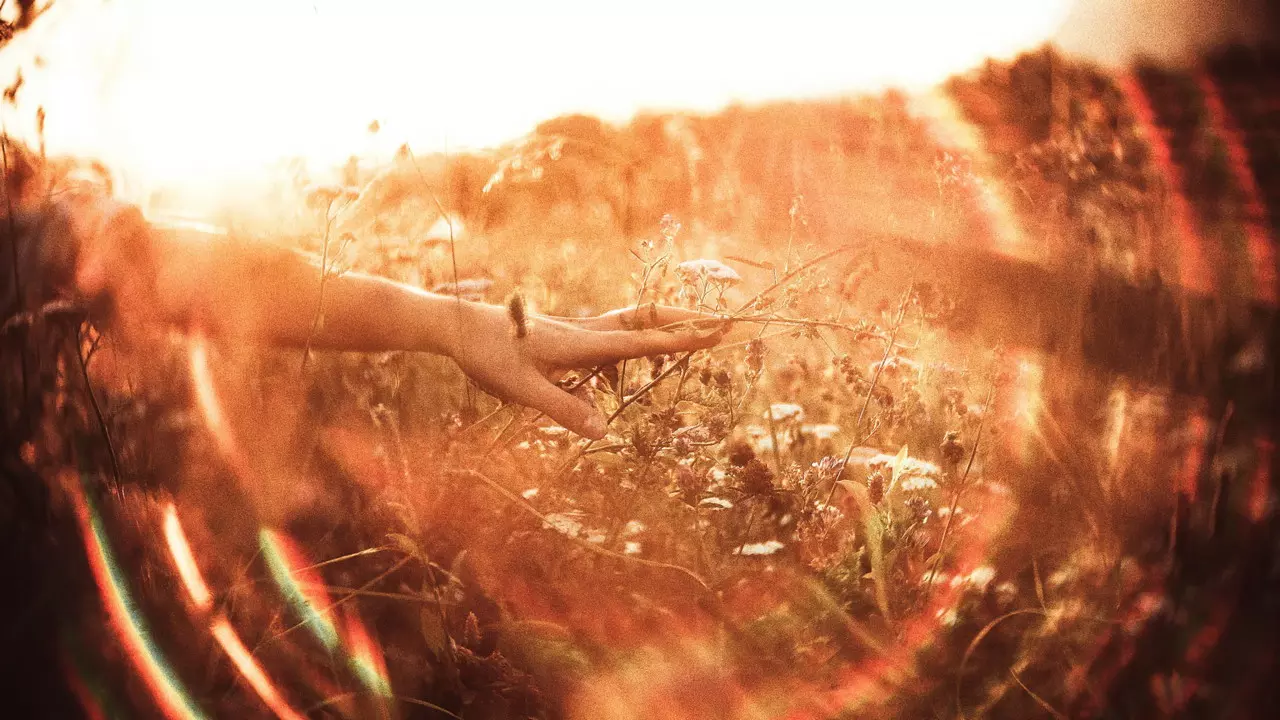 une main semble envoyer des ondes vers un champ de blé mur - Photo by Elia Pellegrini on https://unsplash.com/photos/VokN6qsZyOk