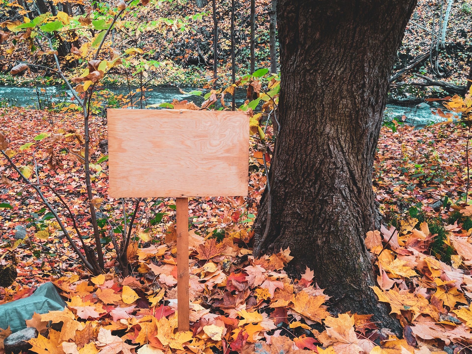 Un panneau de signalisation vide - Photo de Sigmund sur https://unsplash.com/fr/photos/rqPSCIcr-_A