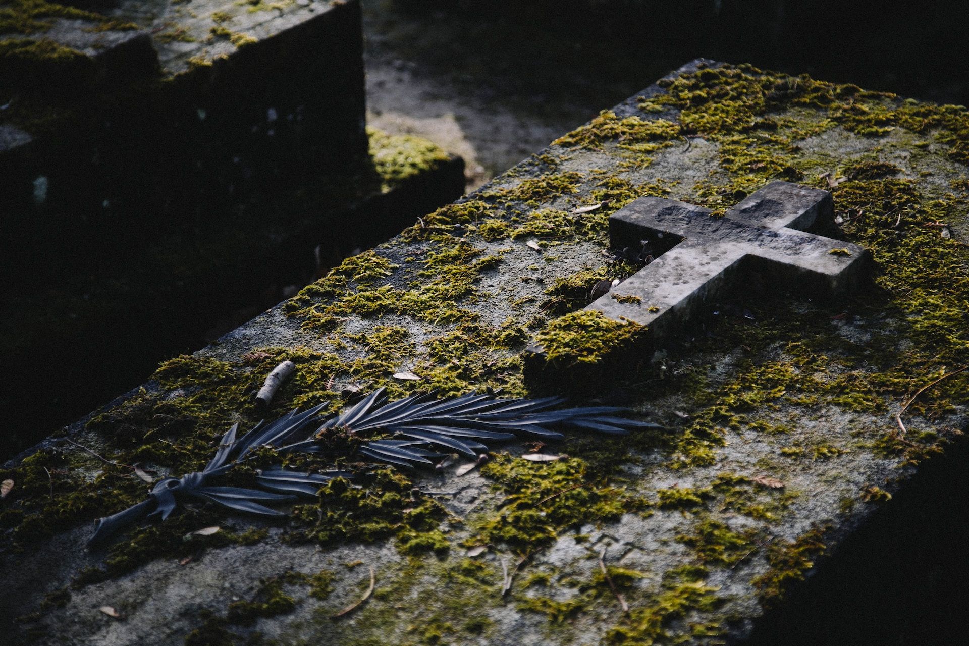 Une tombe moussue décorée d'une croix et d'une branche de palm - Photo de Kenny Orr sur https://unsplash.com/fr/photos/1AVTo_bdHWs