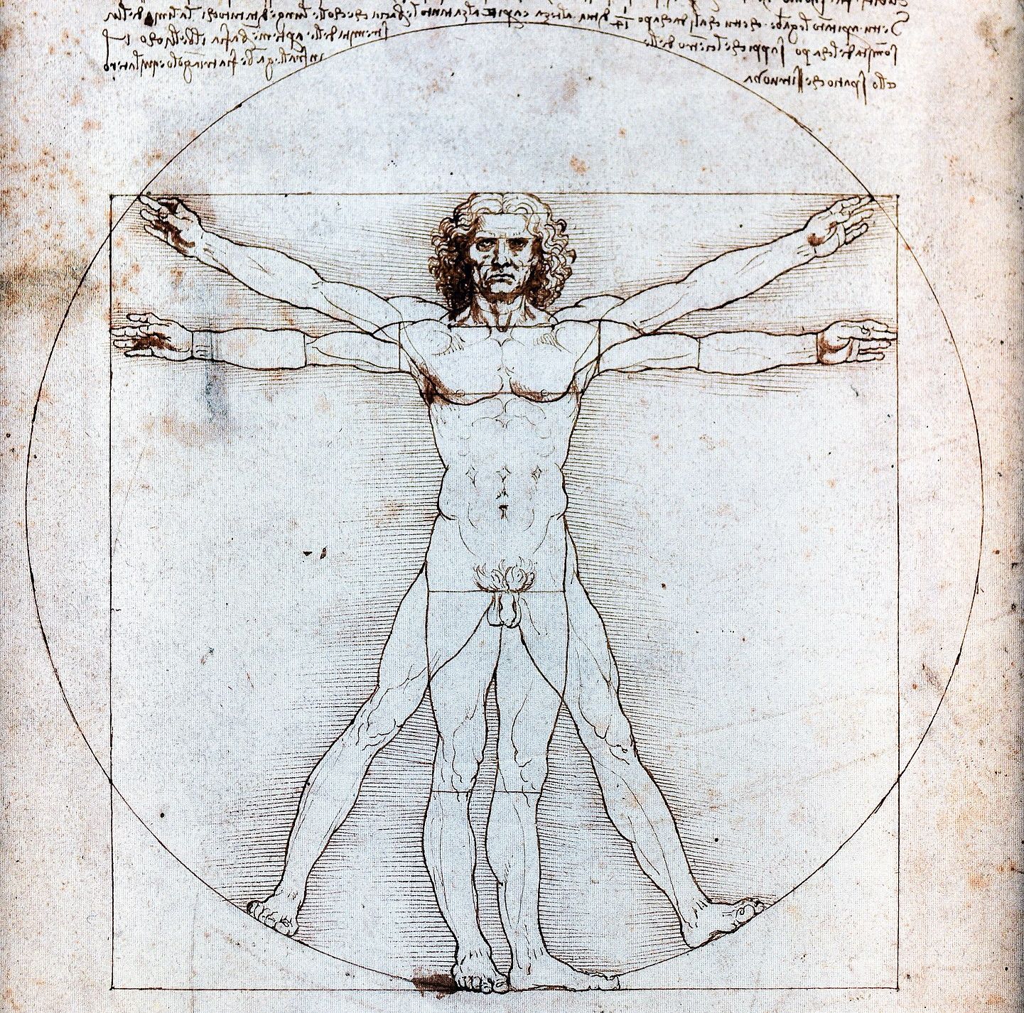 L’Homme de Vitruve, de Léonard de Vinci, Vers 1492