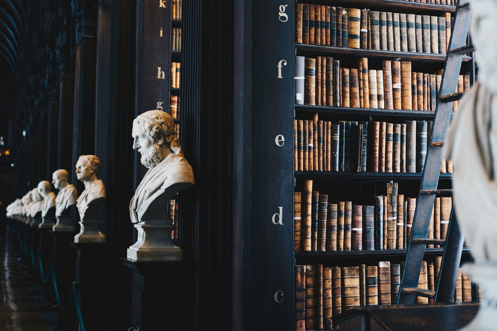 Une bibliothèque ancienne (à Dublin) avec des bustes de philosophes - Photo de Giammarco Boscaro sur https://unsplash.com/fr/photos/lot-de-livres-sur-etagere-en-bois-noir-zeH-ljawHtg