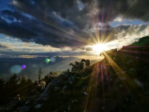 un troupeau de moutons en montage, au coucher du soleil - Photo de Jaka Škrlep sur https://unsplash.com/fr/photos/les-rayons-du-soleil-culminent-a-travers-les-nuages-au-dessus-du-troupeau-de-chevres-sur-la-colline-kfv21yEf-6Y