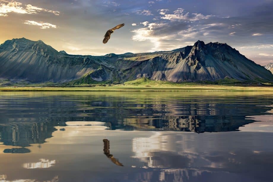 Un aigle volant au dessus d'un lac et de montagnes - Image par Ondřej Šponiar de https://pixabay.com/fr/photos/aigle-montagnes-lac-r%C3%A9flexion-1450672/