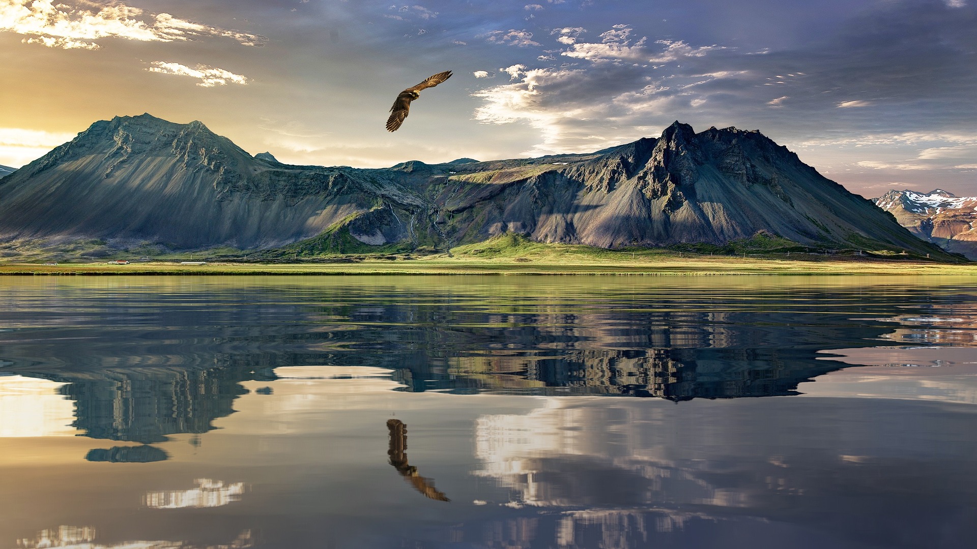 Un aigle volant au dessus d'un lac et de montagnes - Image par Ondřej Šponiar de https://pixabay.com/fr/photos/aigle-montagnes-lac-r%C3%A9flexion-1450672/