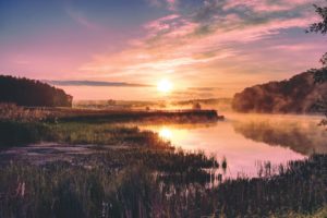 aube sur le bord d'un lac avec brume et marécages - Photo de Simon Maage sur https://unsplash.com/fr/photos/photo-dun-champ-dherbe-verte-a-cote-dun-plan-deau-calme-pendant-lheure-doree-NcNu8kzunb4