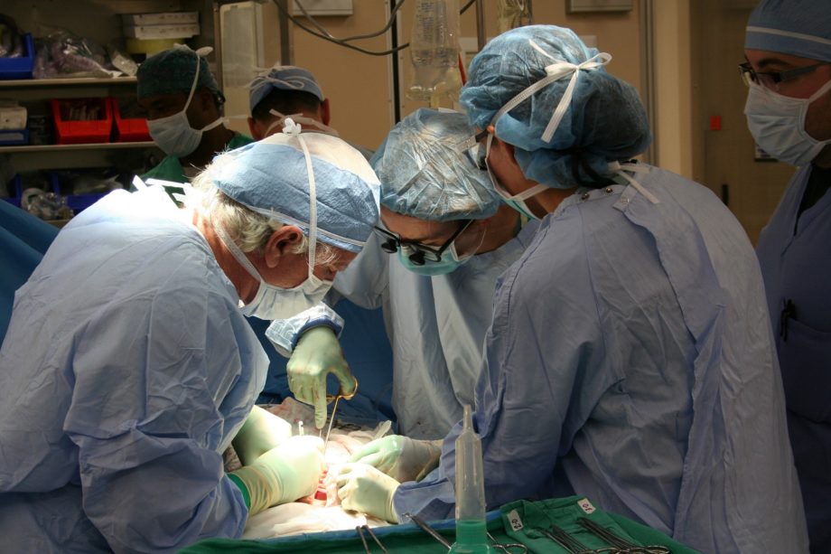 Des chirurgiens en pleine opération ou transplantation d