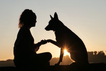 Une femme et son chien se donne la main et l apatte, en contrejour - Image par lokalsportessen de https://pixabay.com/fr/photos/relation-amicale-animal-humain-4499076/